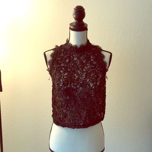 NWT Zara Lace Crop Top